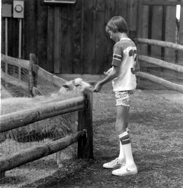 Young boy feeding a sheep at Sanford's zoo - Sanford, Florida.