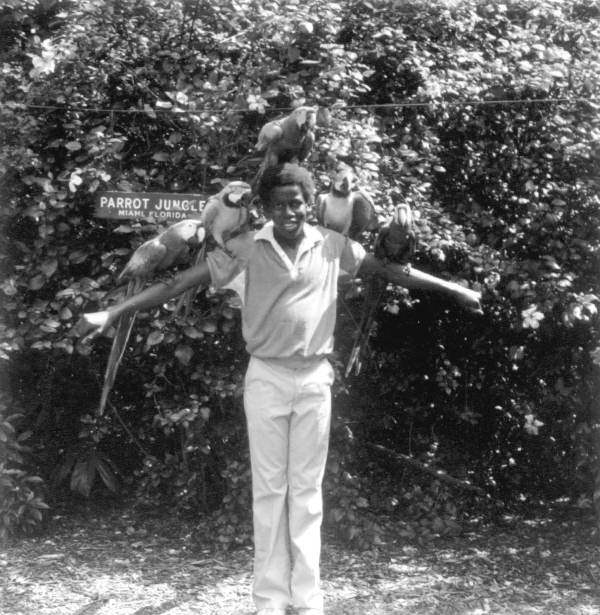 Parrots resting on a boy in Parrot Jungle - Miami, Florida.