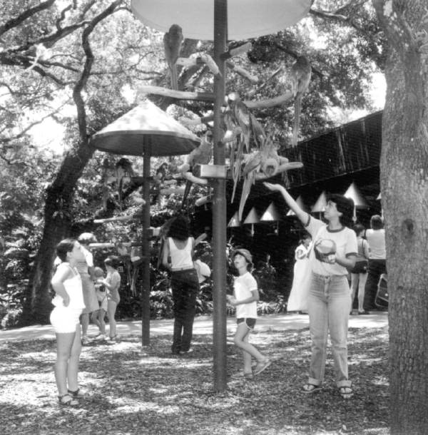 Feeding parrots at Parrot Jungle - Miami, Florida