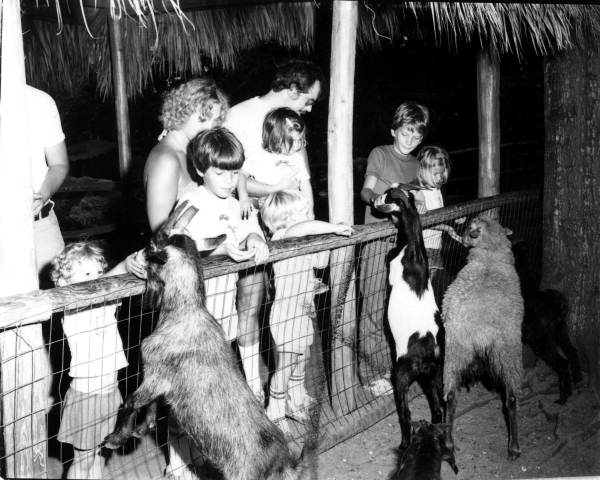 People feeding goats at an alligator farm - St. Augustine, Florida