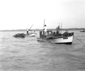 Oyster boats - Apalachicola, Florida
