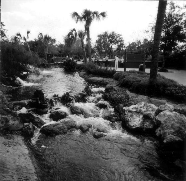 River rapids- Cypress Gardens, Florida