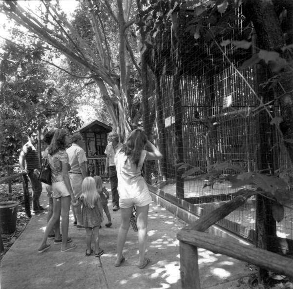 People looking at caged birds - Bonita Springs, Florida