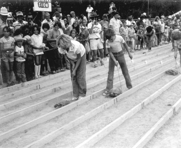 Florida Memory • Gopher racing at San Antonio's Rattlesnake Festival ...