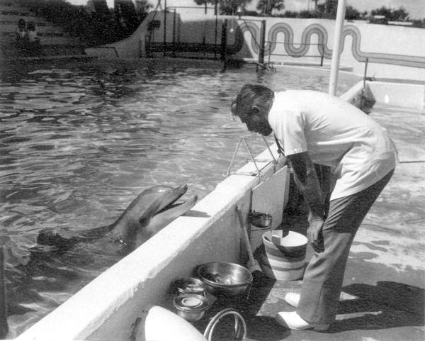 Man with dolphin at Marineland of Florida - Marineland, Florida