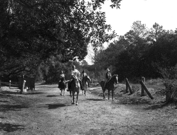 Horseback riding in the woods - Amelia Island, Florida
