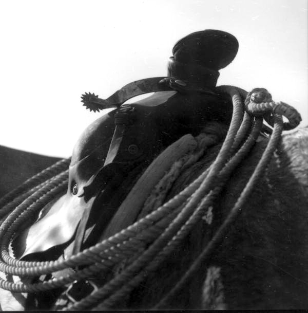 View of saddle and rope - Kissimmee, Florida