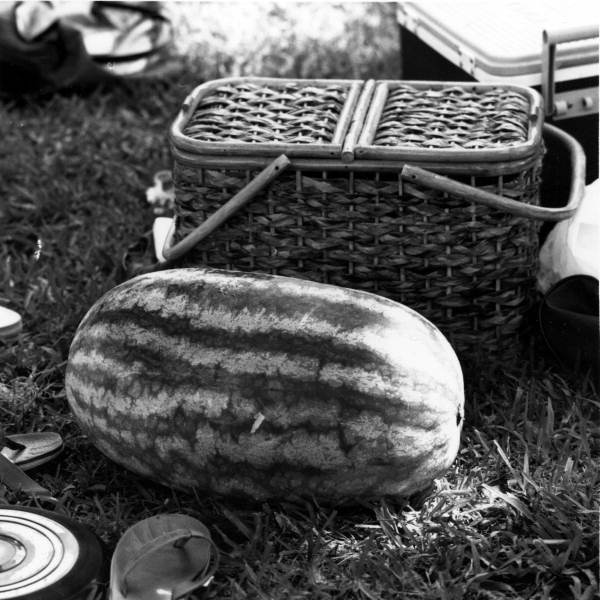Picnic at Blue Springs State Park - Orange City, Florida.