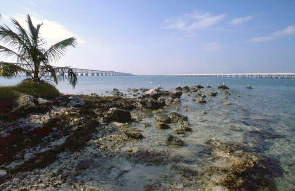 View showing bridges at the Bahia Honda State Park - Bahia Honda Key, Florida