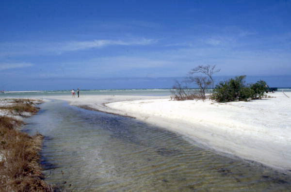 Caladesi Island State Park beach - Dunedin, Florida