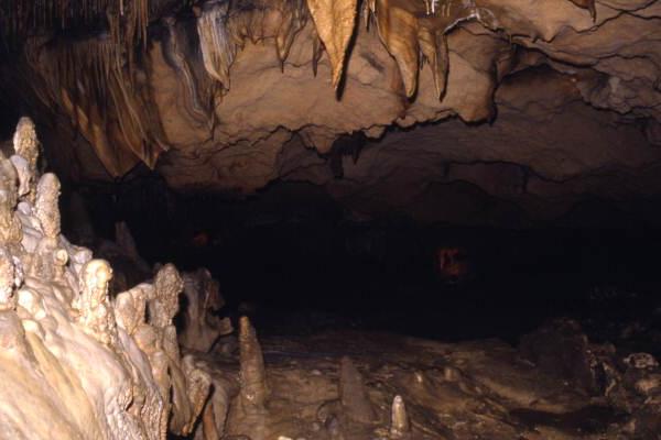 Interior view of a cave at the Florida Caverns State Park - Marianna, Florida.