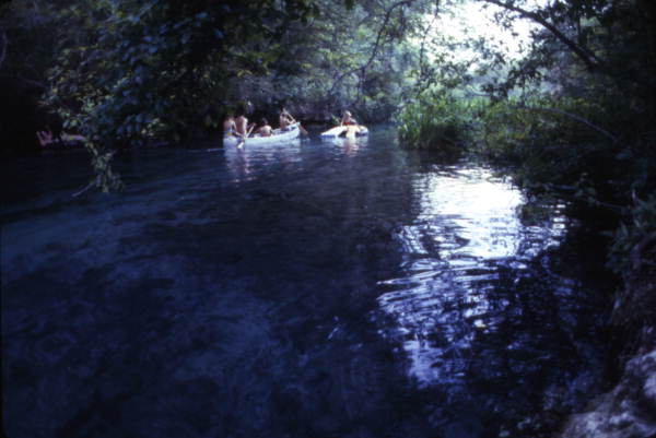 View looking toward people canoeing at the Ichetucknee Springs State Park - Fort White, Florida.