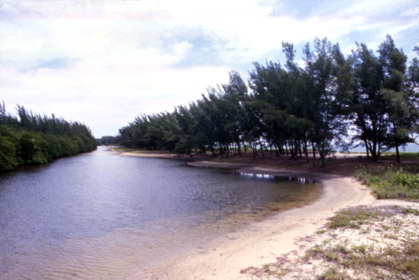 View of the New River Sound tidal waterway at the John U. Lloyd Beach State Park - Fort Lauderdale, Florida..