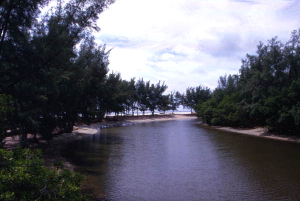 View of the New River Sound channel at the John U. Lloyd Beach State Park - Fort Lauderdale, Florida..