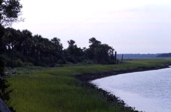 View of grounds at the Kingsley Plantation State Historic Site - Fort George Island, Florida.