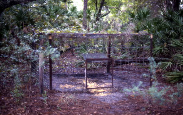 Animal cage at the Lake Kissimmee State Park - Lake Wales, Florida.