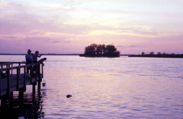 View showing people fishing from a dock at Sebastian Inlet State Park - Melbourne Beach, Florida.