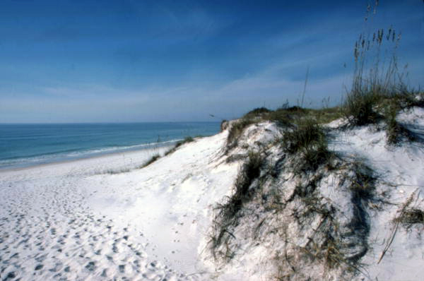 View showing dunes at St. Andrews State Park beach - Panama City, Florida..