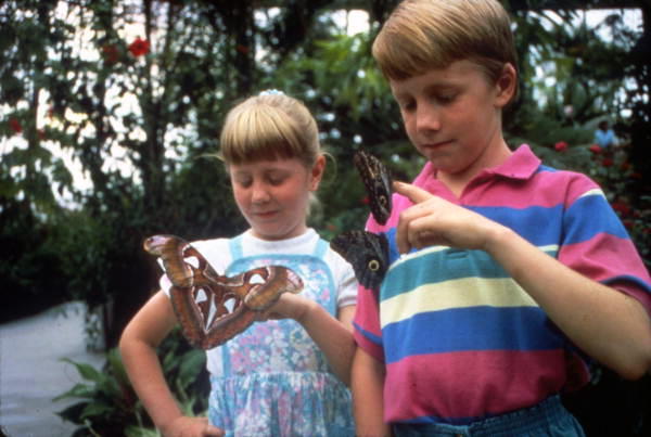 Children with butterflies at the Butterfly World attraction in Coconut Creek, Florida.