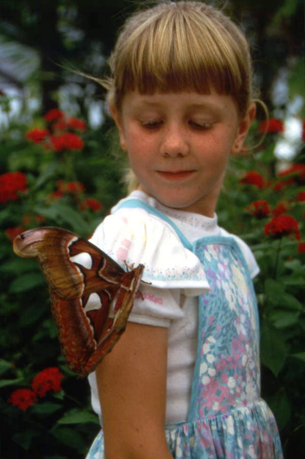 Unidentified girl at the Butterfly World attraction in Coconut Creek, Florida.