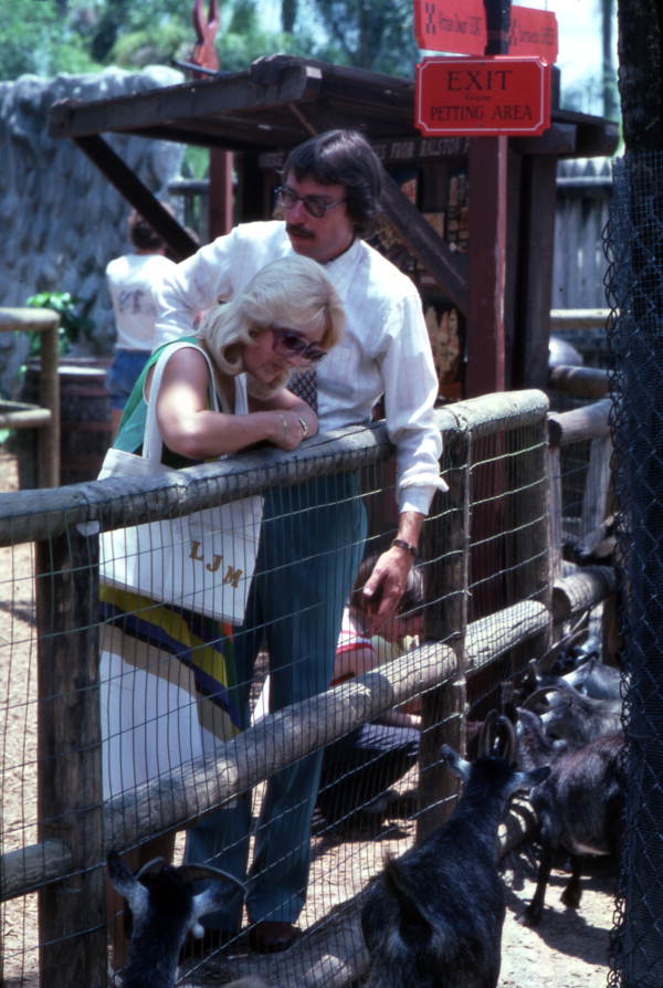 Visitors by goats at the Busch Gardens amusement park petting zoo - Tampa, Florida.