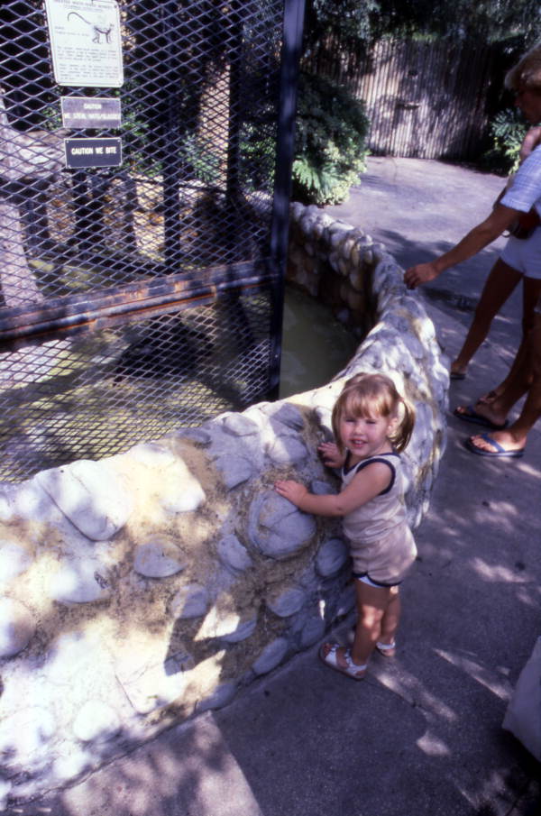 Child looking at animals at the Busch Gardens amusement park in Tampa, Florida.