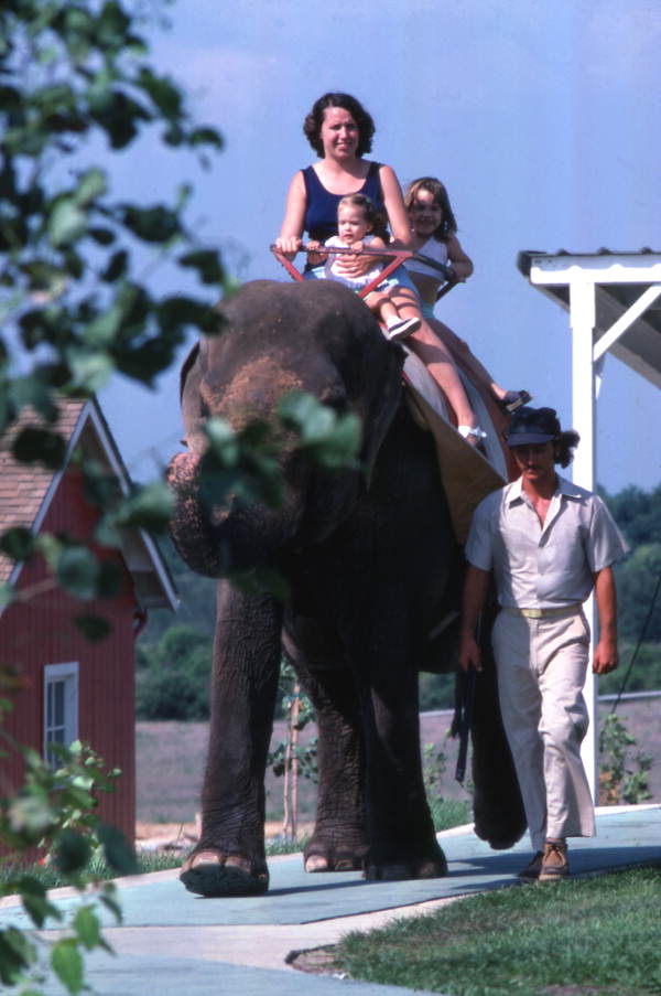 Visitors riding on an elephant at the Circus World theme park in Orlando, Florida.