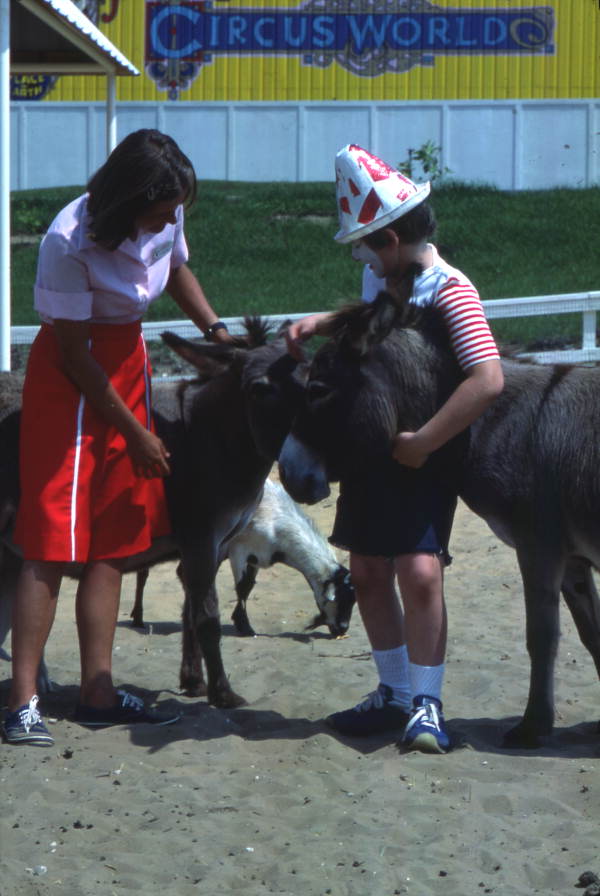 People petting donkeys at the Circus World theme park zoo in Orlando, Florida.