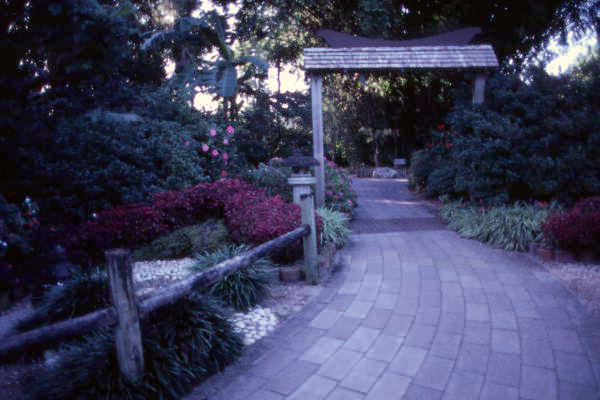 View of garden path at the Cypress Gardens theme park in Winter Haven, Florida.