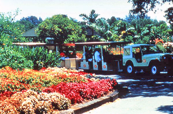 View of passenger vehicle at the Flamingo Gardens botanical garden in Davie, Florida.