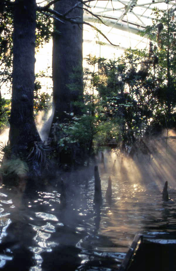 Florida Aquarium wetlands gallery.