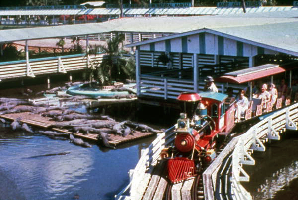 View showing tour train at the Gatorland theme park in Orlando, Florida.