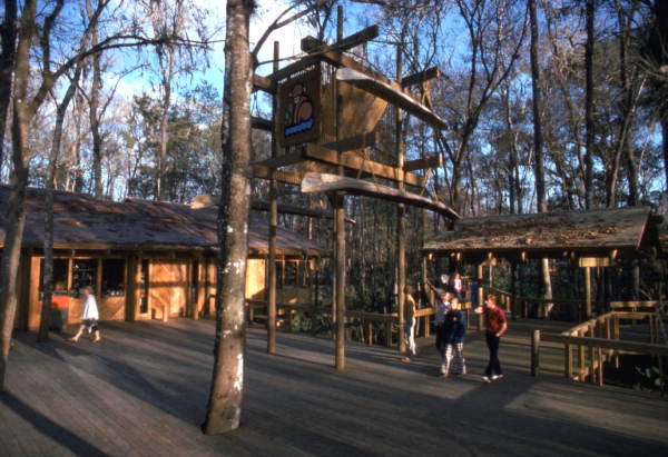 Boardwalk area of the "Cypress Point" feature at the Silver Springs attraction in Ocala, Florida.