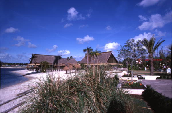View looking toward buildings at the Sea World attraction in Orlando, Florida.