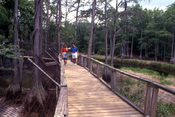 View showing visitors on the man-made nature walkway at the Tallahassee Jr. Museum.