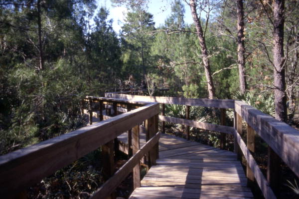 Boardwalk at the Turkey Creek Sanctuary in Palm Bay, Florida.