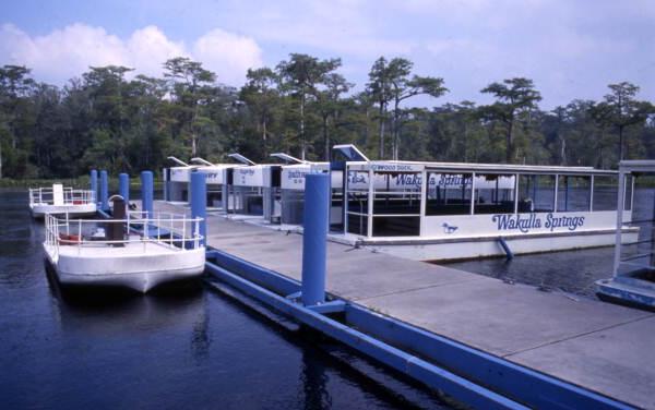 View of glass-bottom tour boats at Edward Ball Wakulla Springs State Park.