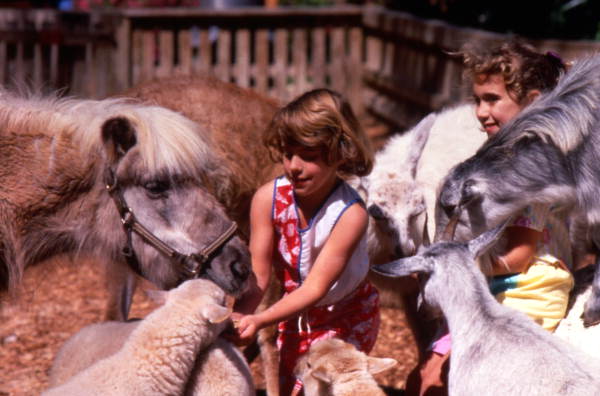 Visitors with animals at the Weeki Wachee Springs amusement park petting zoo - Weeki Wachee, Florida.