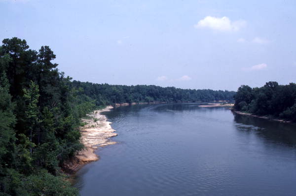 Scenic view of the Apalachicola River.