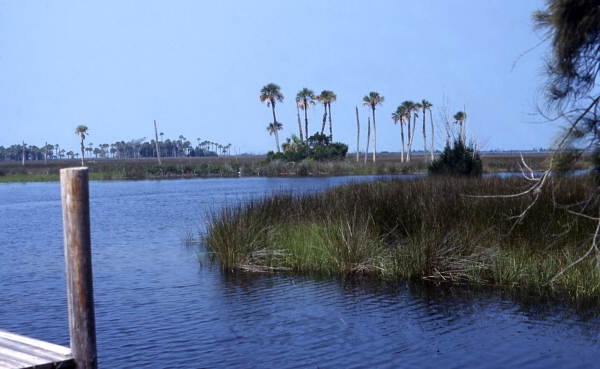 Scenic view of marshland at the fishing village of Aripeka, Florida.