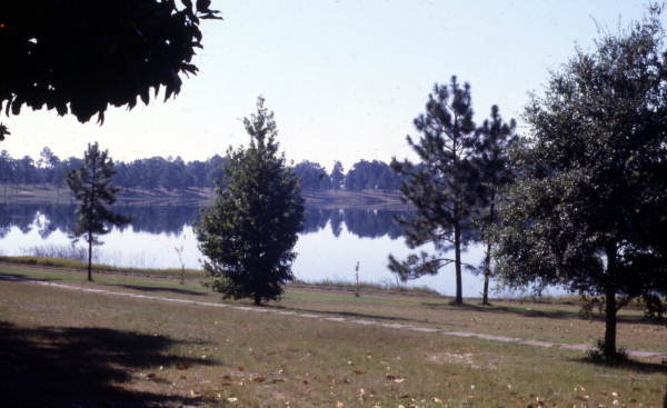 Scenic view looking at Lake De Funiak.