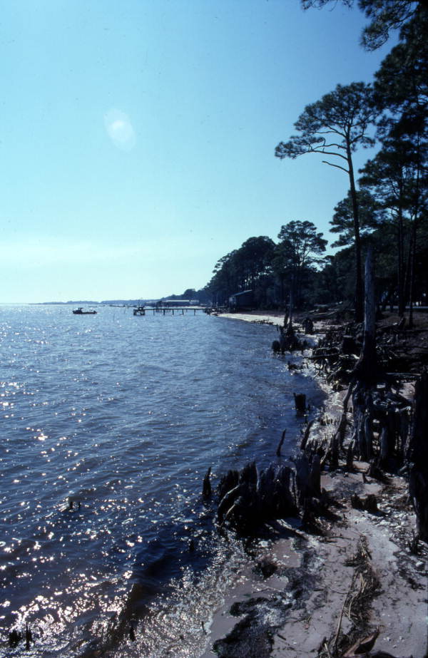 Shoreline at the East Point cape.