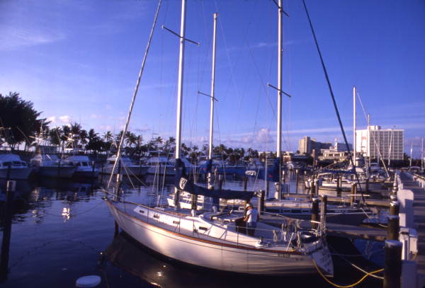 Sailboats docked at the Bahia Mar Marina in Ft. Lauderdale, Florida.