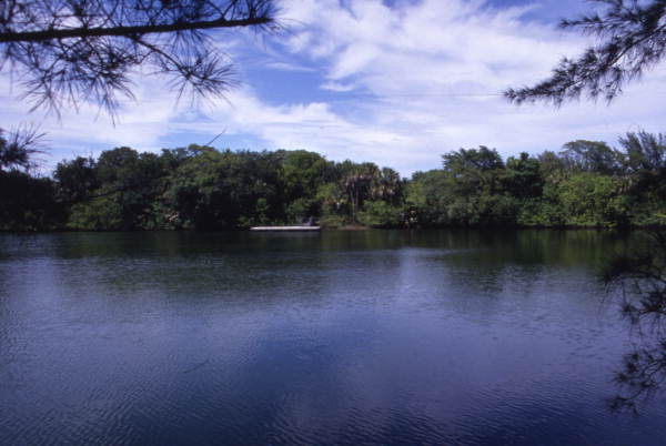 Scenic view of Snyder Park in Ft. Lauderdale, Florida.