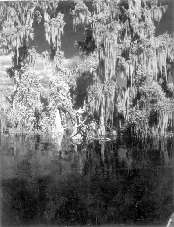 View of the seashore - Pensacola, Florida .