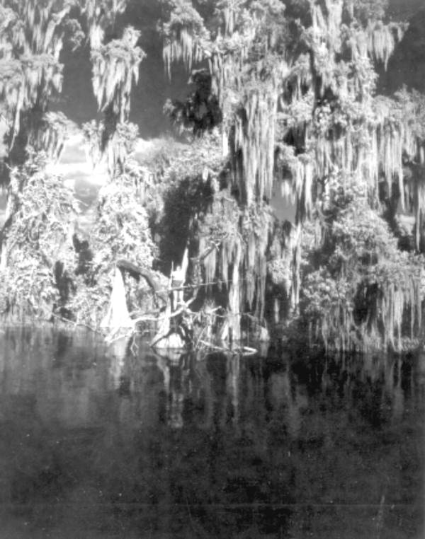 Young woman fishing at Lake Eloise