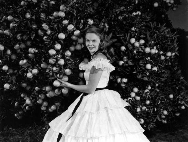 Miss America 1954, Evelyn Ay, posing in front of an orange tree - Winter Haven, Florida