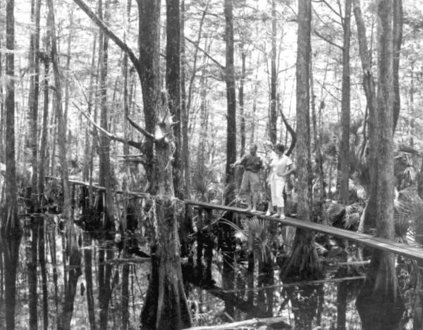 People on a pathway at Gaskin's Cypress Knee Museum - Palmdale, Florida