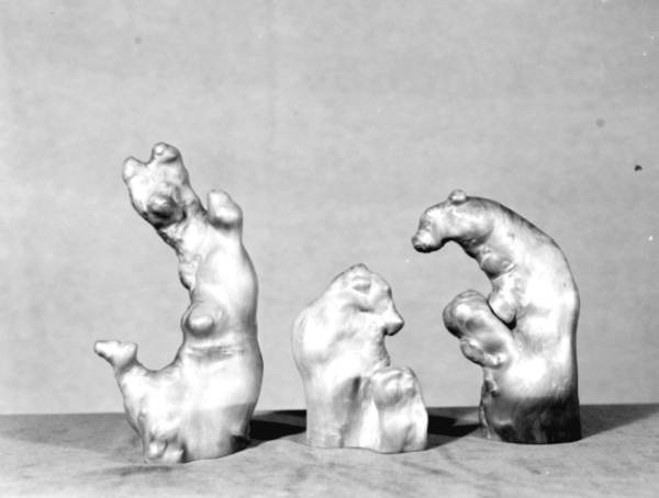 Cypress knee samples at Gaskin's Cypress Knee Museum