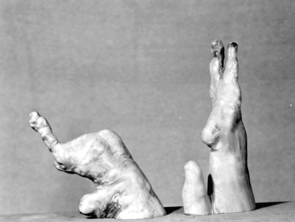 Cypress knee samples at Gaskin's Cypress Knee Museum